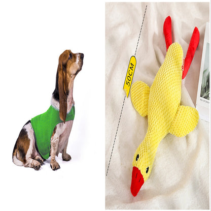 Anxiety Vest