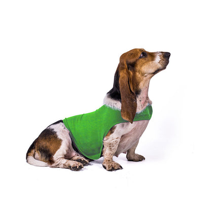 Anxiety Vest