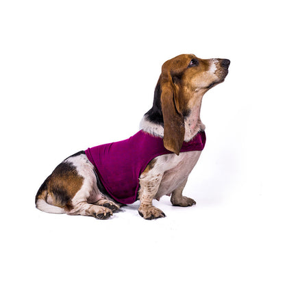 Anxiety Vest