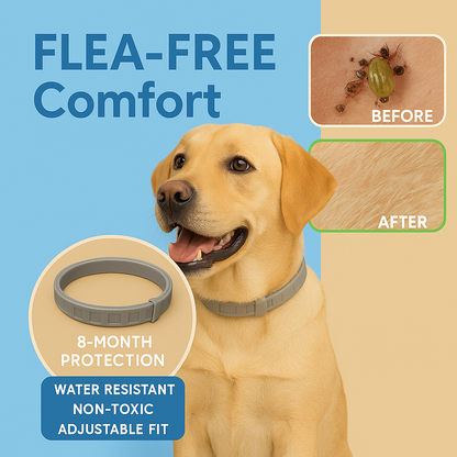 Anti-Flea Collar