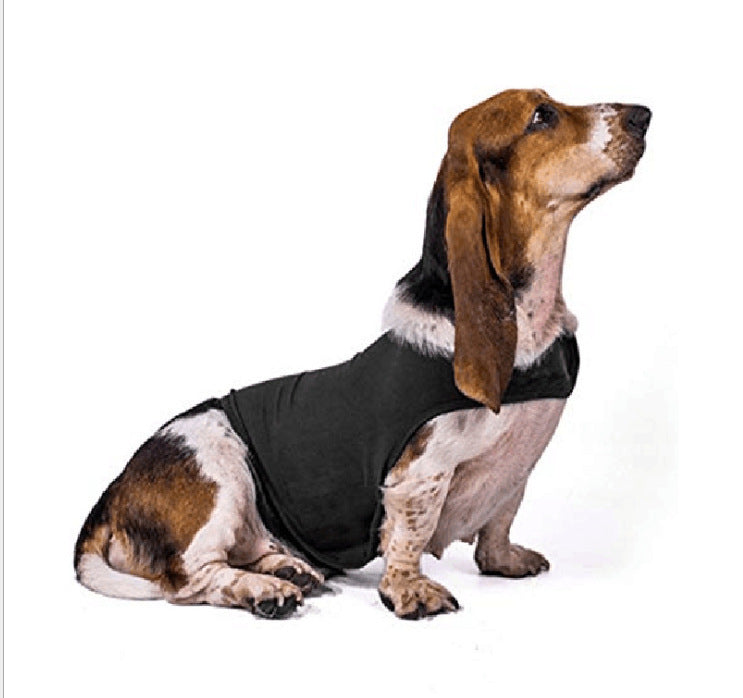 Anxiety Vest